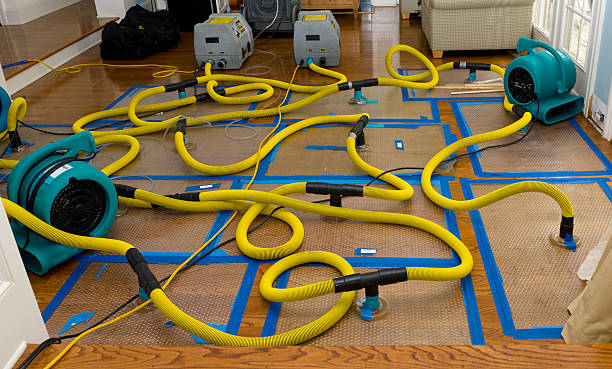 Professional Crawl Space Water Removal technician working in Forestville, CA